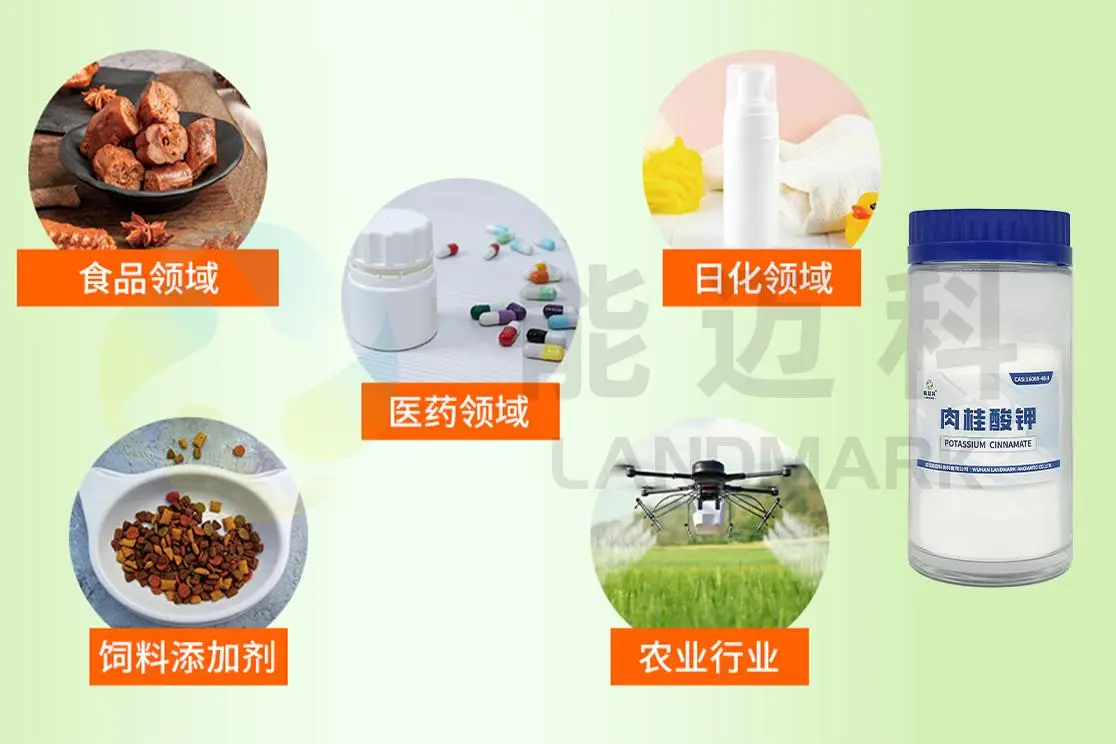 高評分廠家匯總：肉桂酸鉀防腐劑在食品加工中的實(shí)力廠家推薦